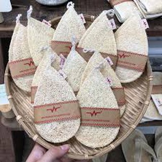 Miếng rửa chén / BÁN SỈ / Miếng rửa bát, chén xơ mướp Vi Lâm loại nhỏ