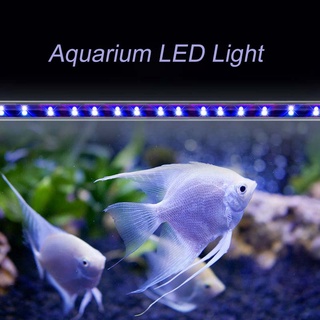 Lominie Led Aquarium Light, Saltwater Freshwater Fish Tank Light For Coral,  Planted Nano Aquarium Tank Giá Tốt Tháng 9, 2023 | Mua Ngay | Shopee Việt  Nam