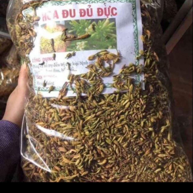 So sánh hoa đu đủ đực tươi và khô