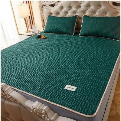 [Hàng loại I] Chiếu điều hòa Tecel Latex cao su non hàng êm mịn nằm mát dễ chịu