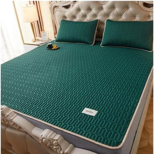 Chiếu điều hòa Tecel Latex cao su non hàng êm mịn nằm mát dễ chịu