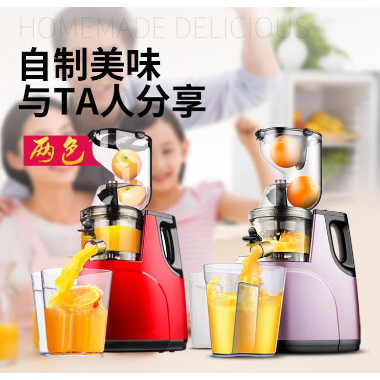 [Có Sẵn] Máy ép chậm cỡ lớn Hongxin RH-312 ép rau củ hoa quả