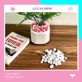 Đá/Sỏi Cao Cấp Decor Chậu Cây Cảnh, Bể Cá, Tiểu Cảnh, Lót Nền Sân Vườn Siêu Xinh