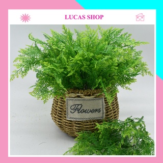 Lá Giả- Cụm Lá Dương Xỉ, Cắm Điểm 40cm 7 Nhánh Decor Lọ Hoa, Làm Hoa Handmade Chụp Ảnh