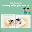 Sách Chúng mình lớn rồi Ehon dành cho trẻ từ 3 - 6 tuổi