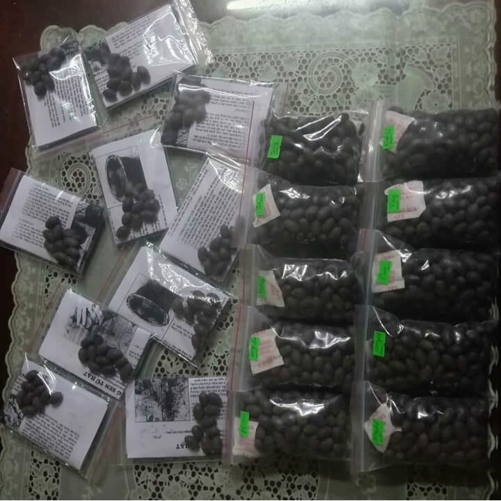 50 Hạt sen nhật mini đủ 10 màu khác nhau