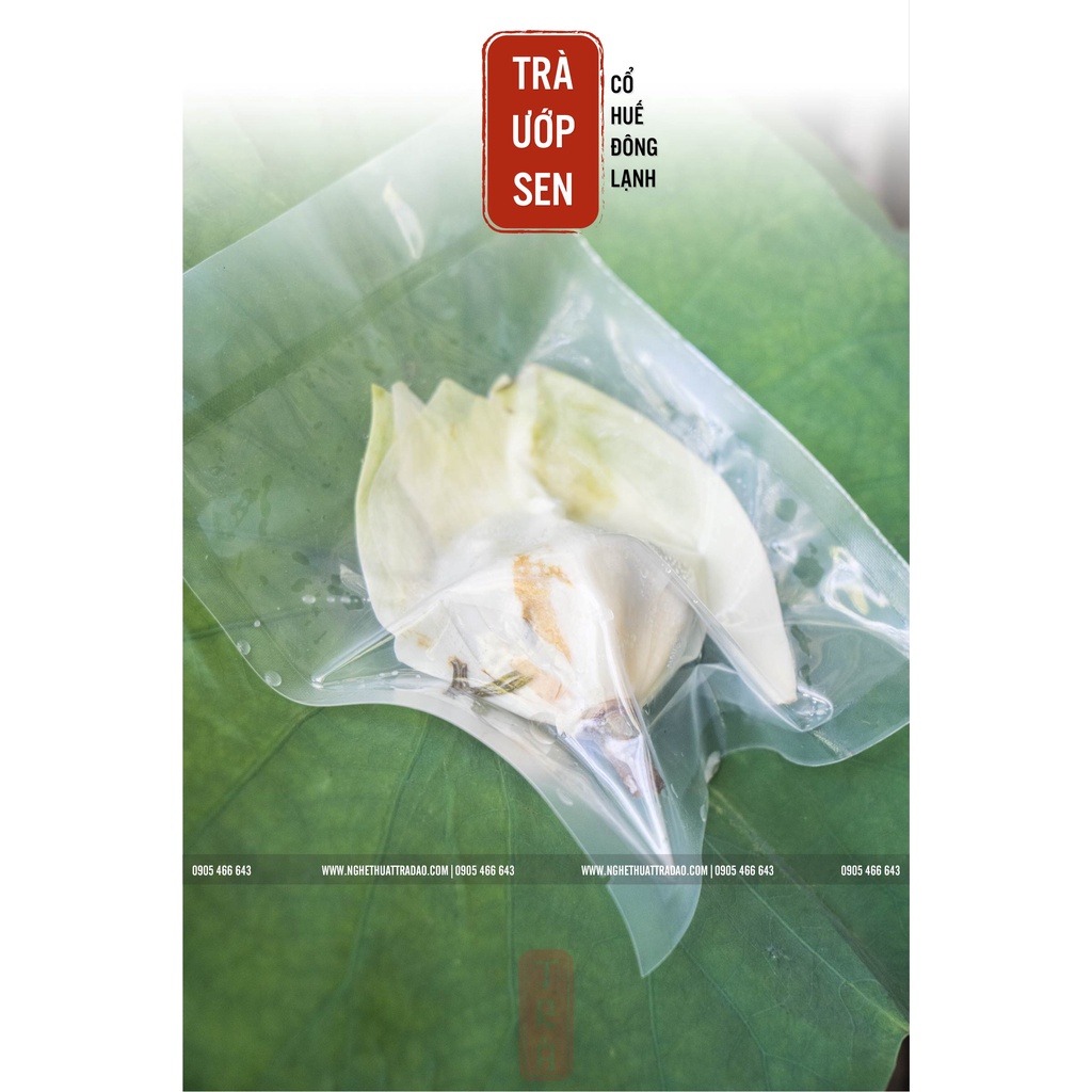 [Thư Vương Trà]Trà ướp sen cổ Huế, trà sen, 1 gói 1 búp 12gr trà hút chân không