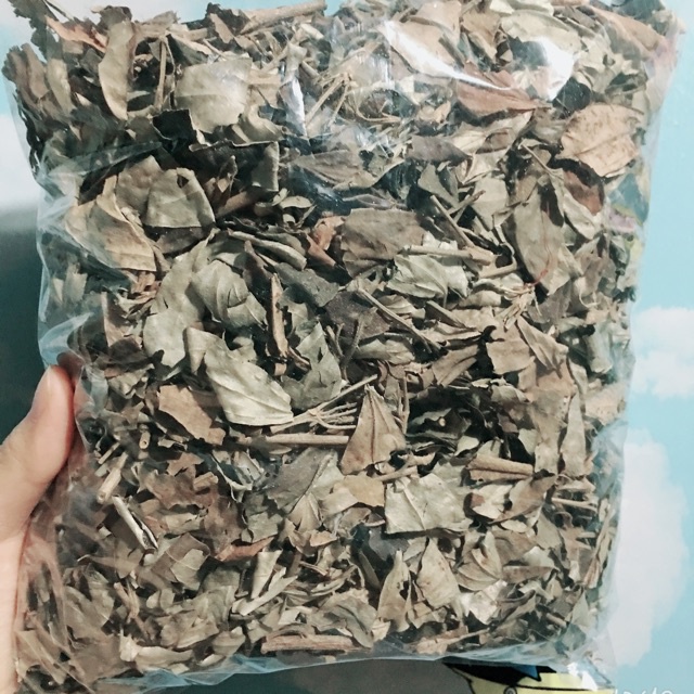 Khổ sâm khô thượng hạng JINDO 1kg tác dụng hỗ trợ đường ruột, v_iêm đại tràng