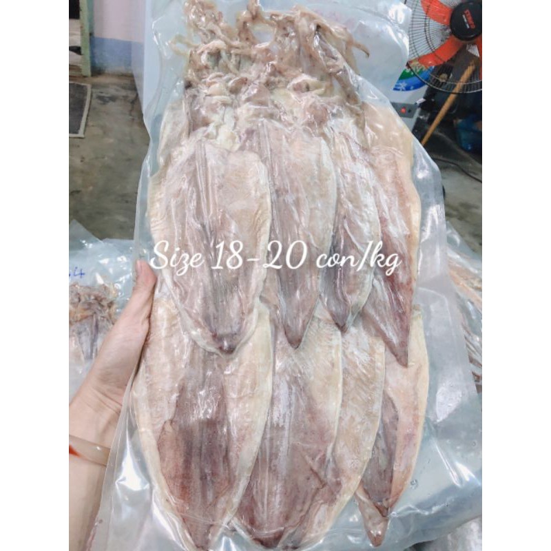 Mực Phan Rang | Shopee Việt Nam