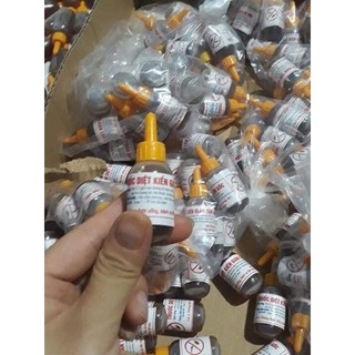 Thuốc Diệt Kiến Gián Anti Ant – Diệt Kiến Gián Sinh Học Hiệu Quả Cao, An Toàn Cho Gia Đình