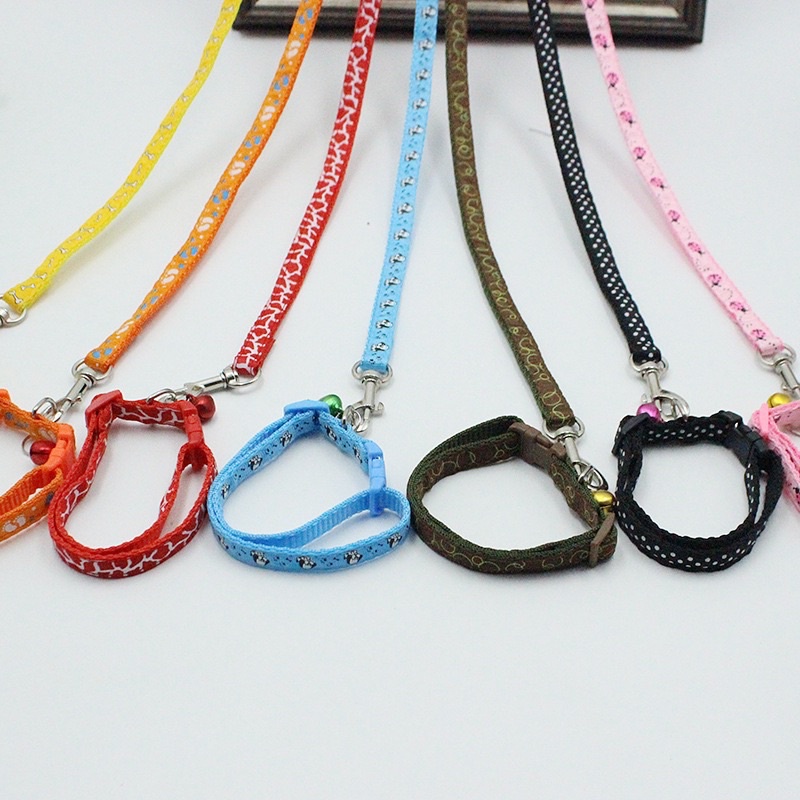 Set dây dắt chó mèo đi dạo, dây vòng cổ, dây yếm (màu ngẫu nhiên)