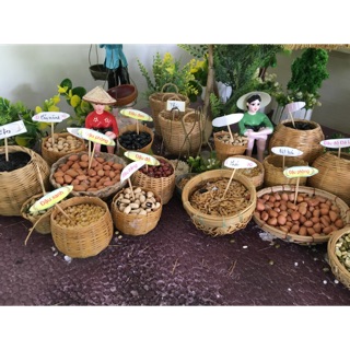 maiphuongg0504