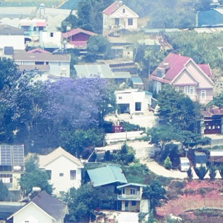 thuong_8412