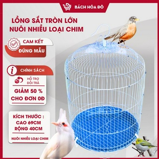 Kỹ thuật nuôi chim sáo hót hay – thuần đét – nói như người