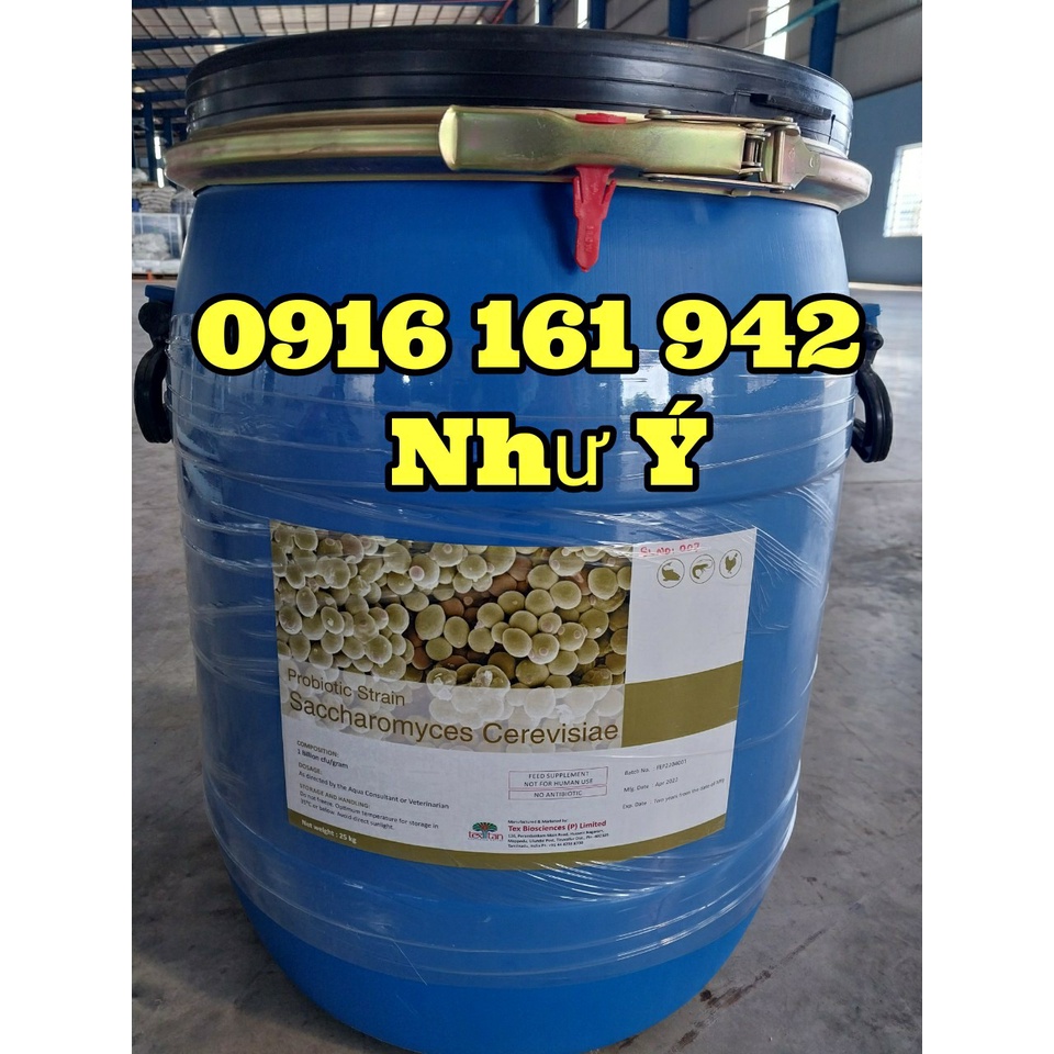 SACCHAROMYCES CEREVISIAE: Nấm men đậm đặc, men vi sinh hỗ trợ tiêu hoá ...