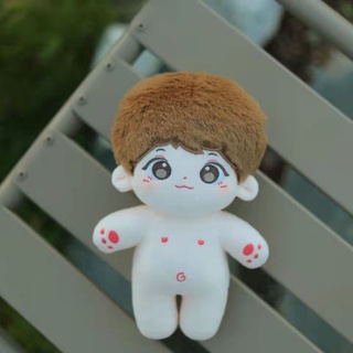[SẴN] Doll Trương Chân Nguyên 10cm 15cm 20cm 40cm - Búp bê Trương Chân Nguyên TNT Thời đại thiếu niên đoàn DO1