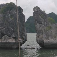 hongduoc854554
