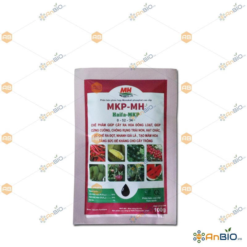 Phân bón ISRAEL Haifa MULTI-MKP 0-52-34 gói 100g GIÚP PHÂN HOÁ MẦM HOA ...