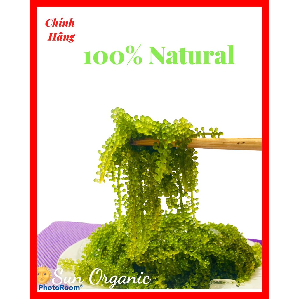 Rong Nho Tách Nước- Salted Sea Grapes Sun Organic loại 1 hộp 4 gói ...