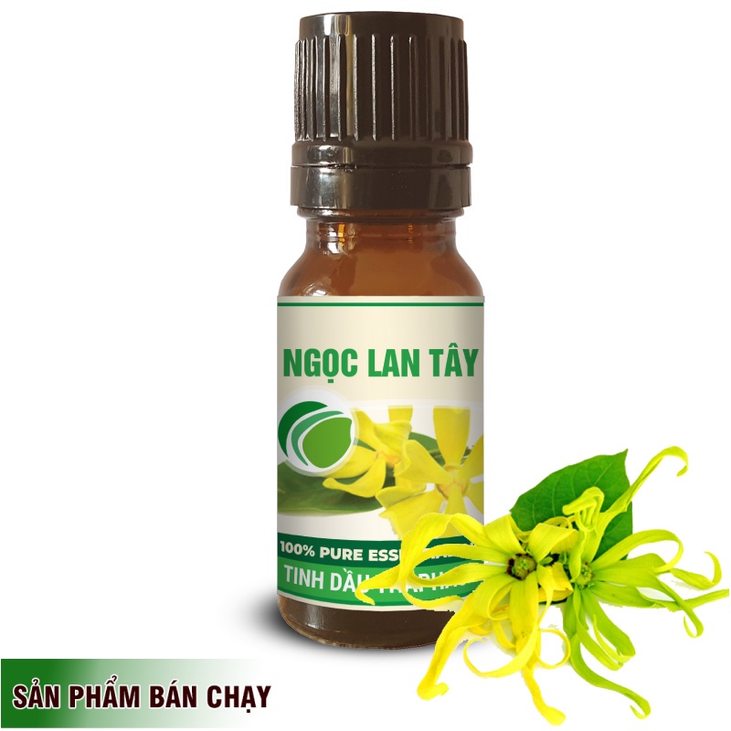 Tinh Dầu Ngọc Lan Tây Chất Lượng Cao 10ml Thaphaco