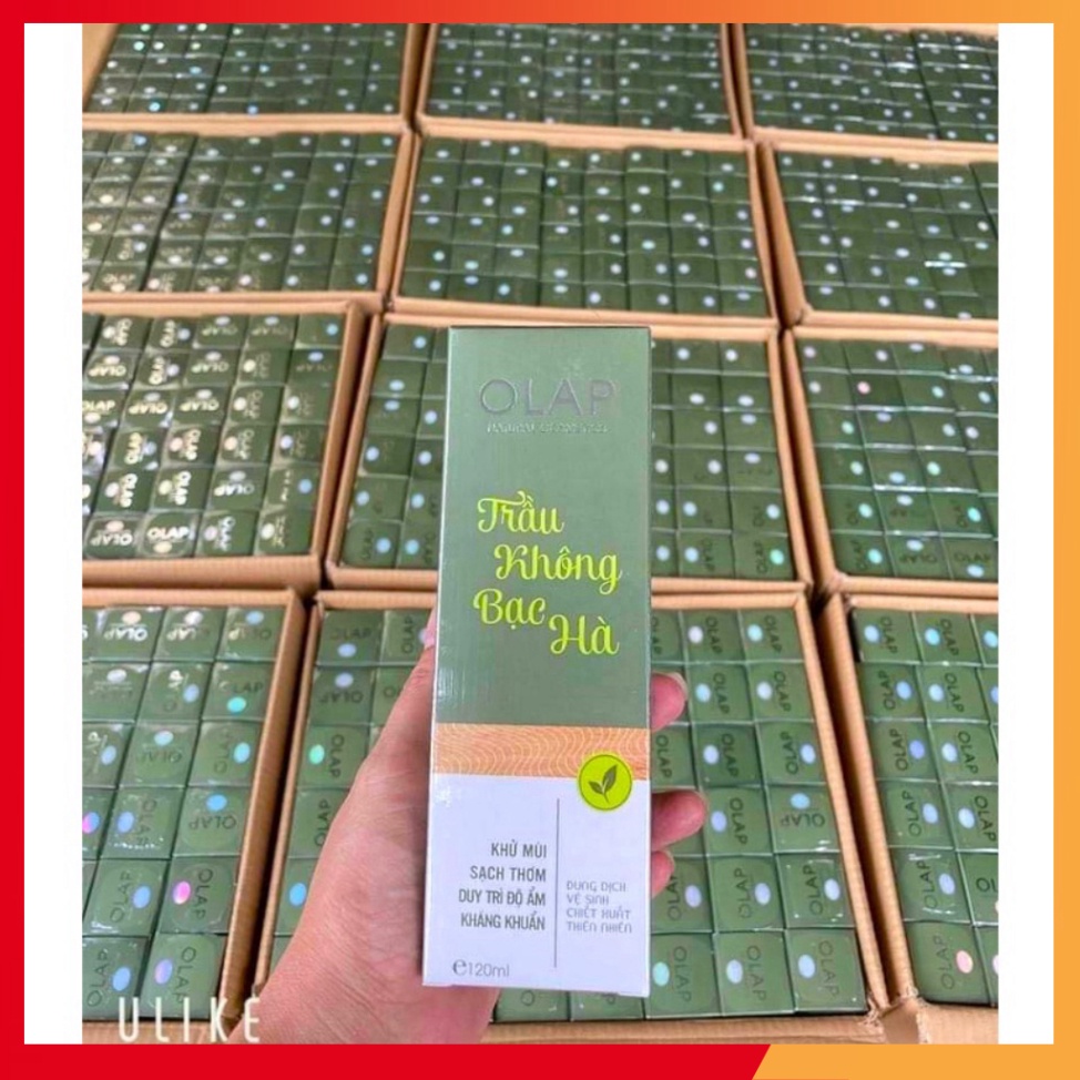 [Chính Hãng] Dung Dịch Vệ Sinh Trầu Không Bạc Hà Olap 120ml - 1 Chai