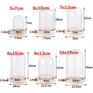 OAKANDME Kính cloche Cây Trang Trí Nhà Terrarium Trong Suốt Bình Thủy Tinh Hoa Hộp Bảo Quản