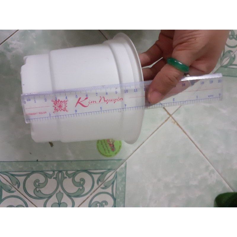 10 cái Chậu Nhựa PP (150×120 mm) Ươm Cây, Sen Đá, Hoa, Chất Lượng Cao, Miệng Vành Cứng