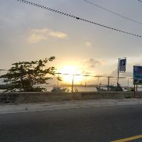 nhi25250011