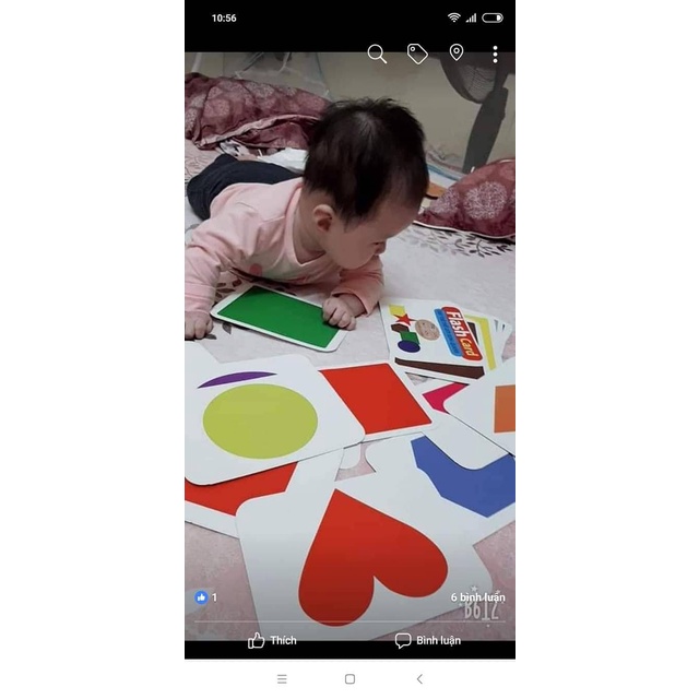 [Loại 1] Bộ Thẻ Học Thông Minh Khổ Lớn A5 -15x21cm Dạy Bé Về TGXQ -Flashcard Glenn Doman -Rõ Nét,Sinh Động,Thực Tế