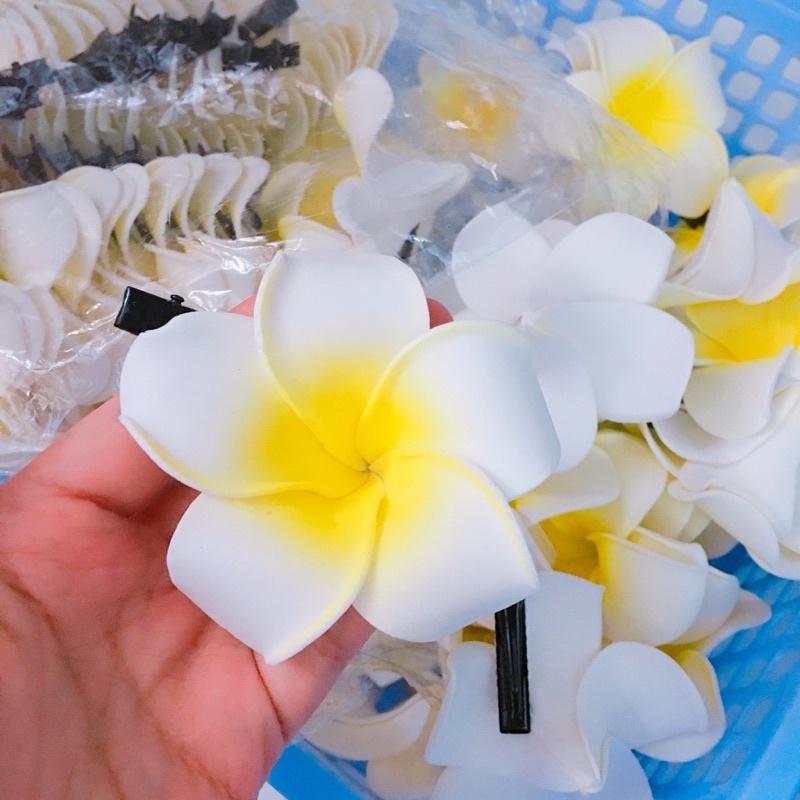 Kẹp Hoa Sứ Giá Tốt Tháng 10, 2023 | Mua Ngay | Shopee Việt Nam