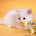 minny_le