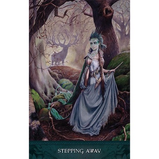 Bộ Bài Raven’s Wand Oracle (Mystic House Tarot Shop) - Bài Gốc Authentic Chính Hãng 100%