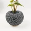 Flgo Khuôn Silicon Hoa Handmade Khuôn Đất Sét Cho Khuôn Thực Vật mọng Nước DIY