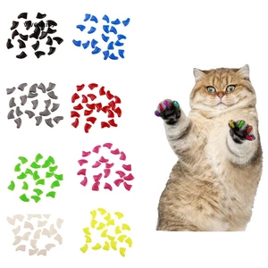 Set 20 nắp nhựa nhiều màu bọc cho móng vuốt mèo chống cào với keo dán tiện dụng