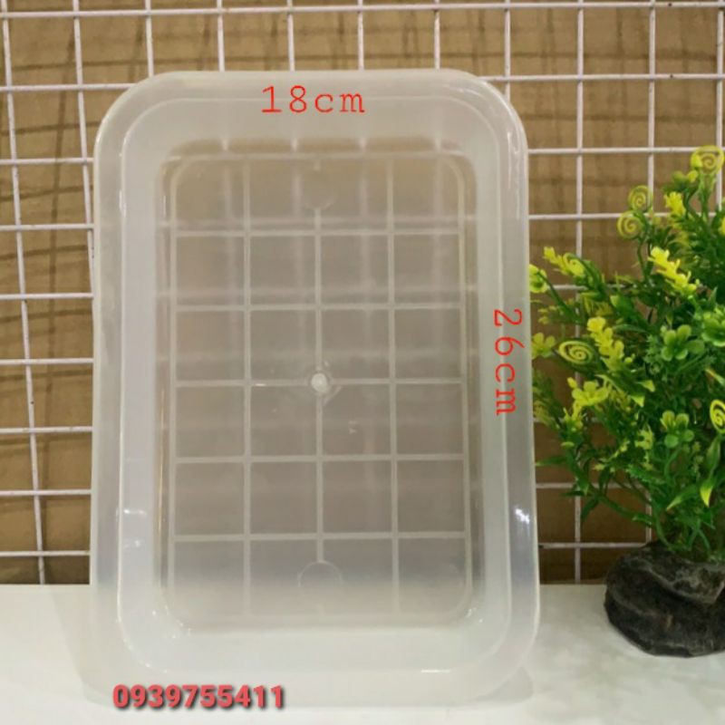 Thau Tắm Cho Chim Chích Chèo Thau Thắm Cho Chim Sáo Thau Đựng Sâu Cho ...
