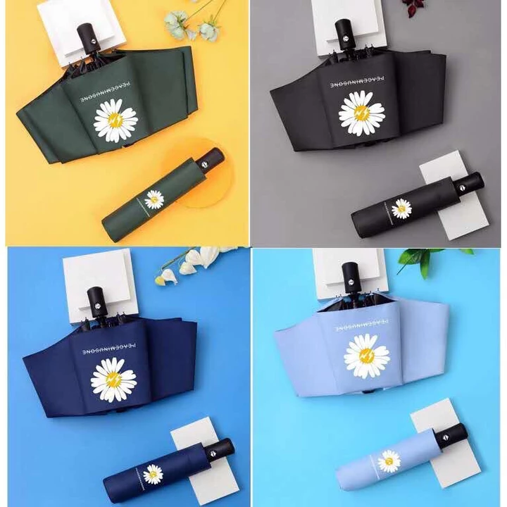 Foldable Fashion accessories – 3