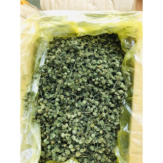 500g Nụ Hoa Tam Thất Khô Sấy Lạnh (Đóng Túi Zip Cứng)