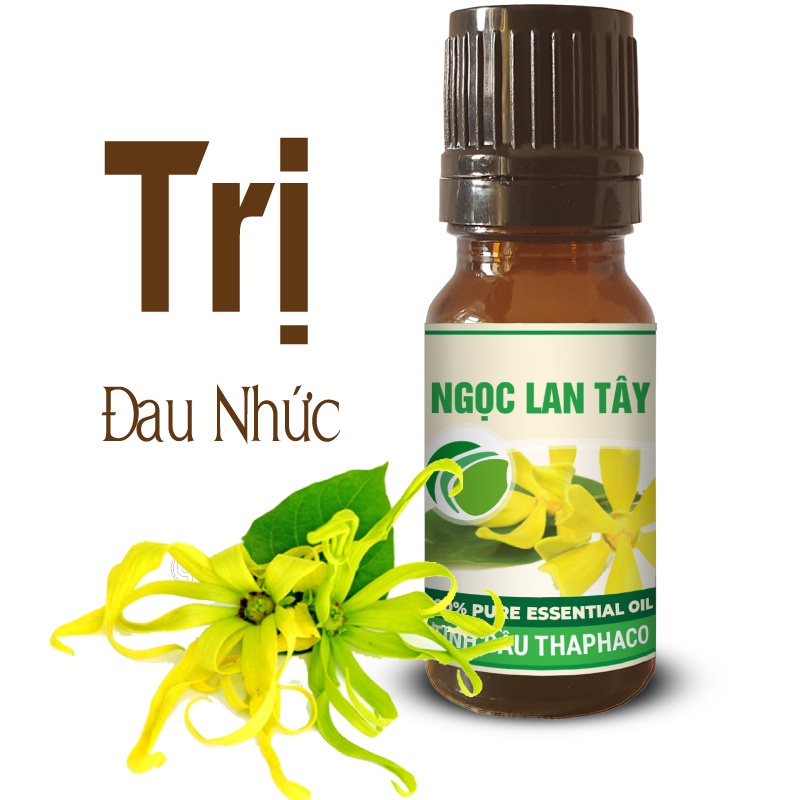 Tinh Dầu Ngọc Lan Tây Chất Lượng Cao 10ml Thaphaco