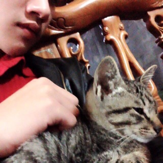 hoangson_tn