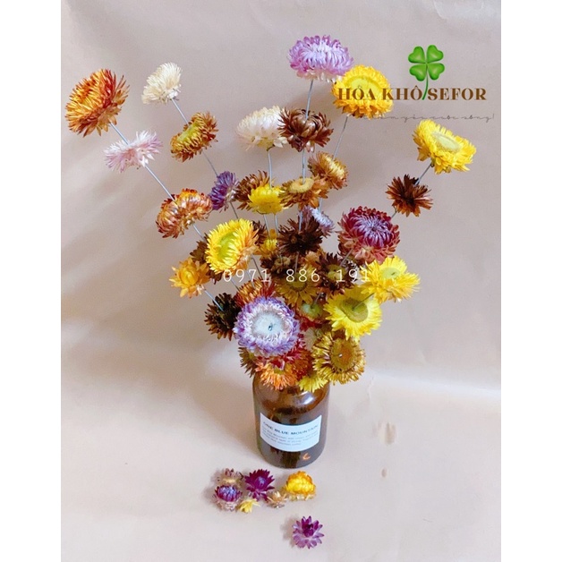 Xiên Hoa Bất Tử Khô ❤️Hoa Bất Tử❤️Xiên Hoa Khô Trang Trí Phong Cách Vintage  | Shopee Việt Nam