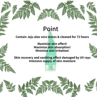 HOLIKA HOLIKA Gel Tinh Chất Lô Hội 99% 250ml Thương Hiệu Holika