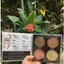 BẢNG TẠO KHỐI 4 Ô CITY COLOR CONTOUR & DEFINE