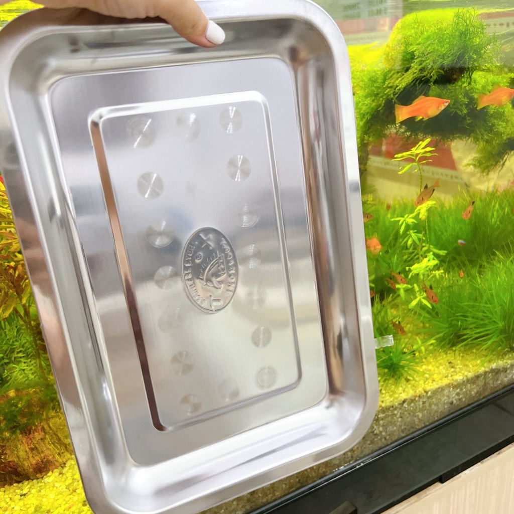 Khay mâm inox chữ nhật cạn đủ size vừa đến lớn