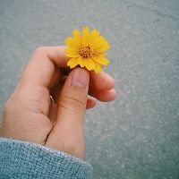 imile_e