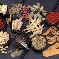 vuthihongyenhb