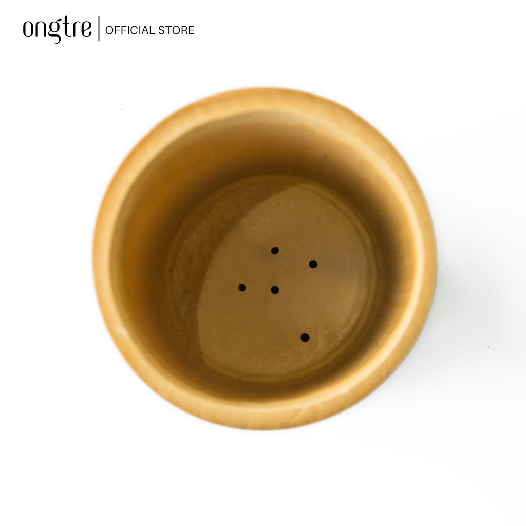 Ống Đựng Đũa Tre ONGTRE - Ống Đựng Muỗng Đũa, Lọ Cắm Hoa, Ống Tre Decor Nhà Bếp, Đa Năng Cao Cấp
