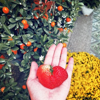 thanh_nhan187