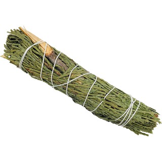 Tuyết Tùng - Cedar (Bó 10-12 cm) (Mystic House Tarot Shop) - Sản Phẩm Authentic Chính Hãng 100%