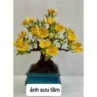 Nụ mai đất sét có đài, sản phẩm loại 1(100sp)