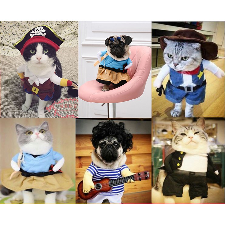 Quần Áo Cosplay Cho Chó Mèo (3 Loại) - Kiểu Dáng Dễ Thương Vui Nhộn ...